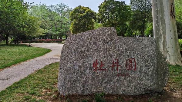 赴郑记（二） 一带一路  丝路文化 文艺评论