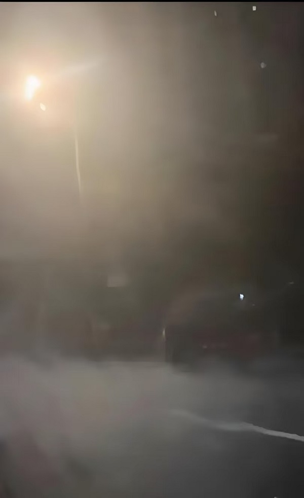 赴郑记（三） 一带一路  丝路文化 文艺评论